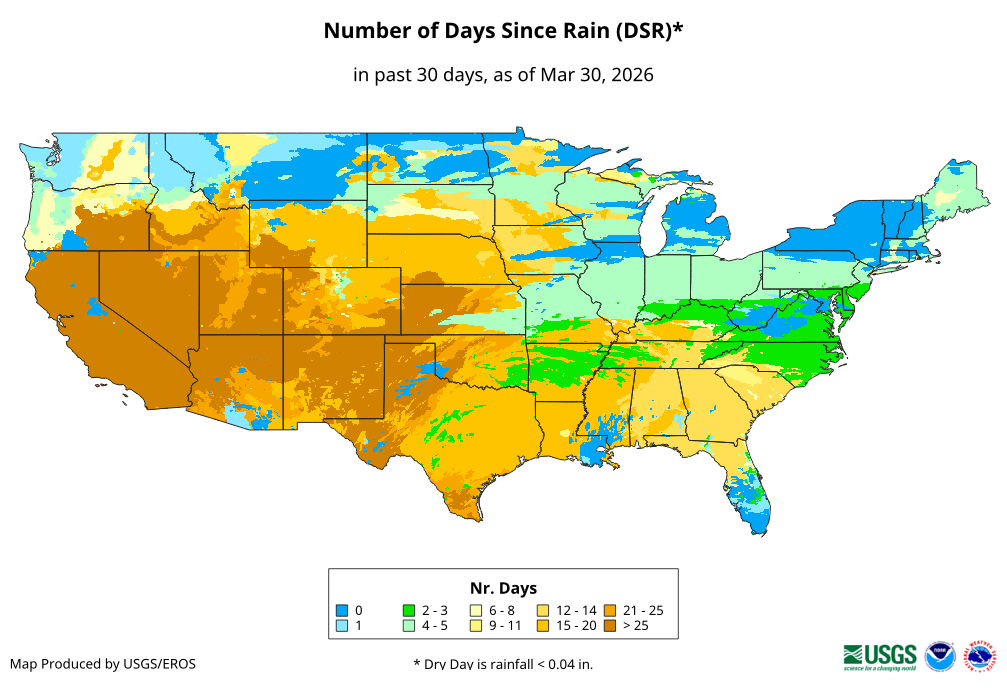 Number of Days Since Rain (DSR)